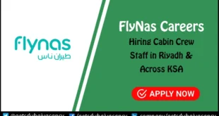FlyNas Careers